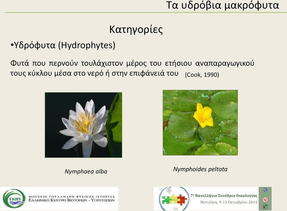 ετήσιου αναπαραγωγικού τους κύκλου μέσα στο νερό ή
