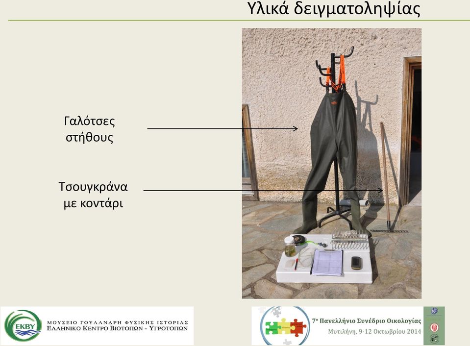 Γαλότσες