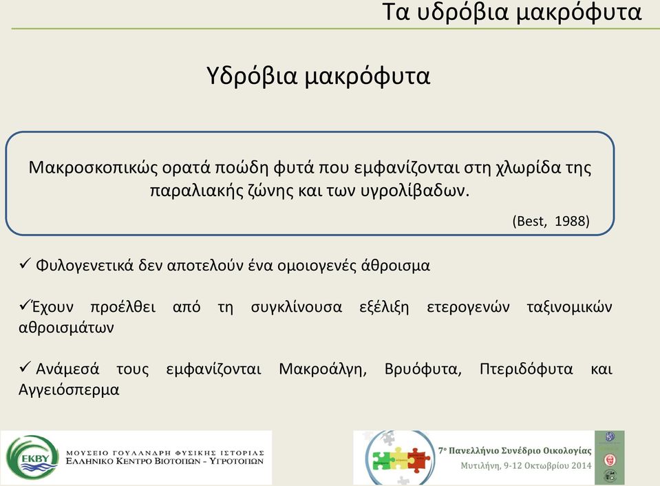 (Best, 1988) Φυλογενετικά δεν αποτελούν ένα ομοιογενές άθροισμα Έχουν προέλθει από τη