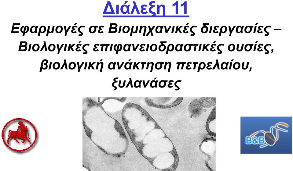 Βιολογικές επιφανειοδραστικές