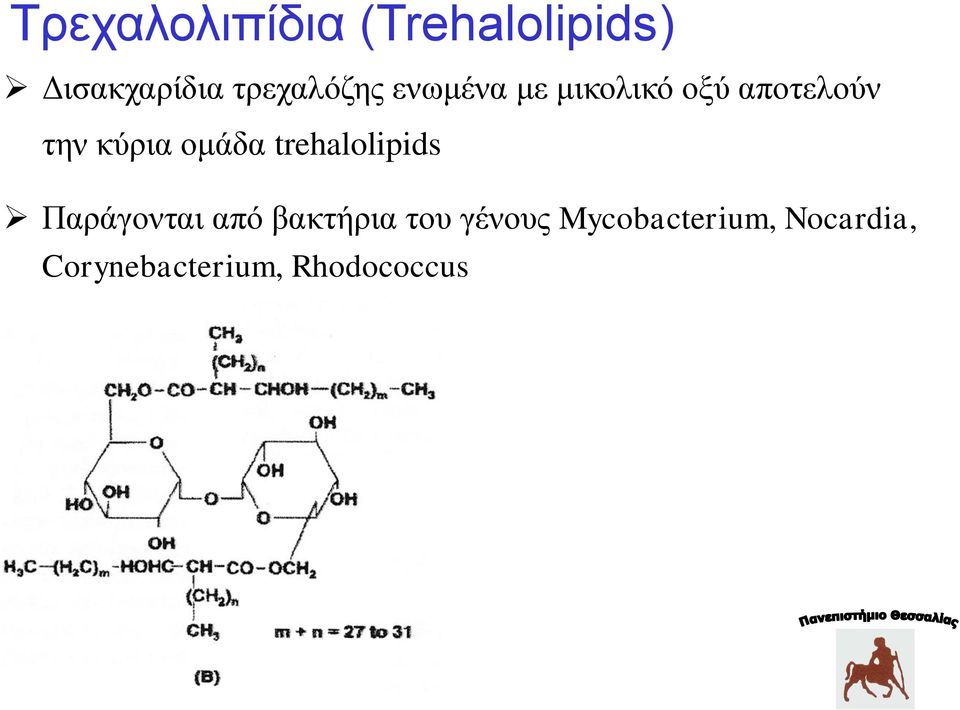 κύρια ομάδα trehalolipids Παράγονται από βακτήρια