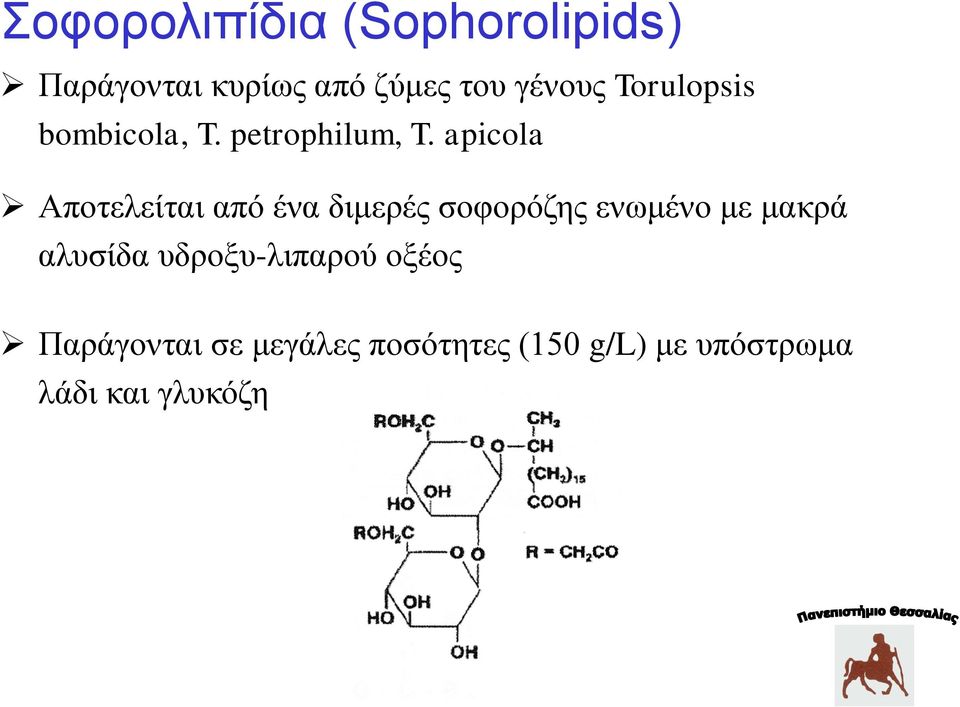 apicola Αποτελείται από ένα διμερές σοφορόζης ενωμένο με μακρά