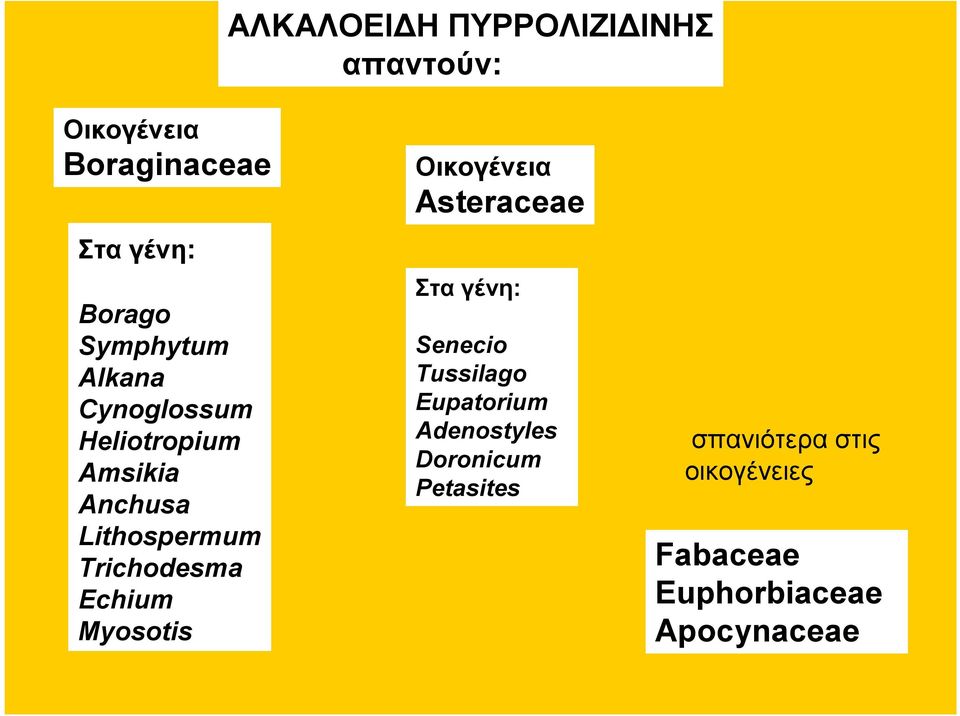 Echium Myosotis Οικογένεια Asteraceae Στα γένη: Senecio Tussilago Eupatorium