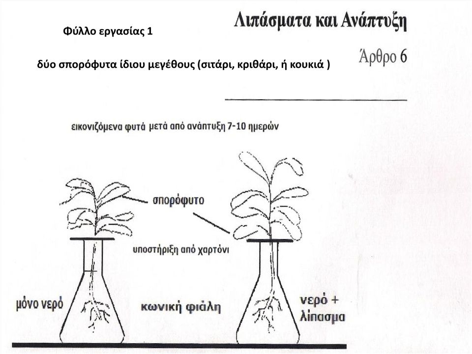 ίδιου μεγέθους