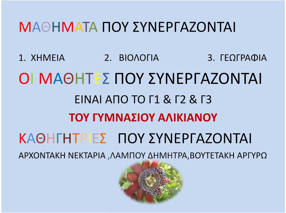 & Γ2 & Γ3 TOY ΓΥΜΝΑΣΙΟΥ ΑΛΙΚΙΑΝΟΥ ΚΑΘΗΓΗΤΡΙΕΣ ΠΟΥ