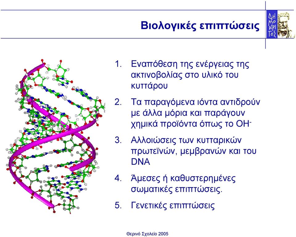 απώλεια όρεξης, ανάρρωση σε λίγες εβδοµάδες Εµετός, σοβαρές αιµατολογικές µεταβολές, αιµορραγία, επιβίωση