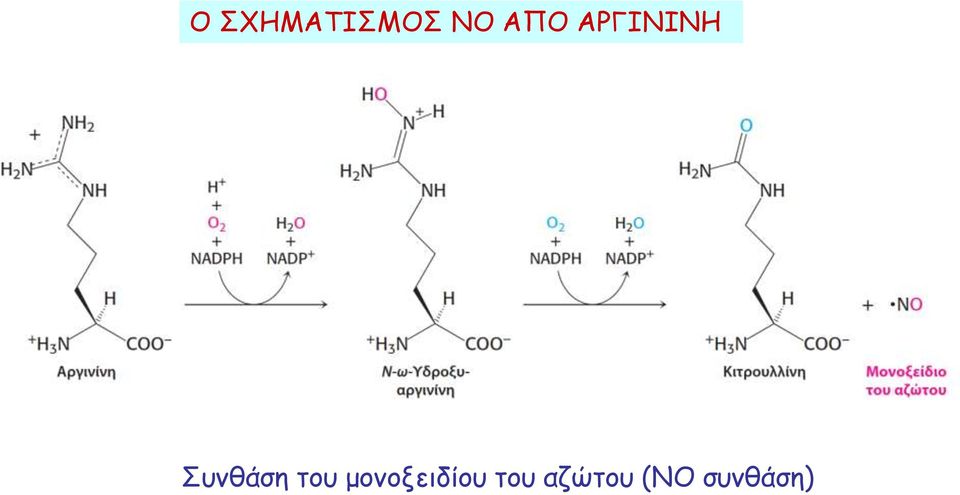 Συνθάση του