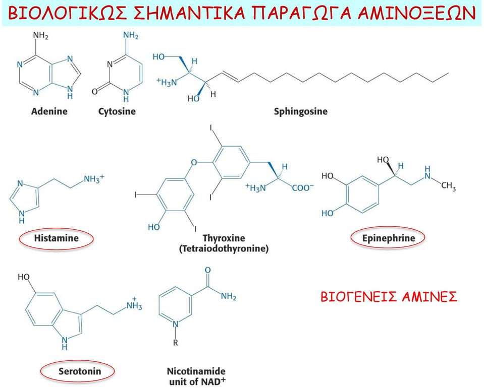 ΠΑΡΑΓΩΓΑ