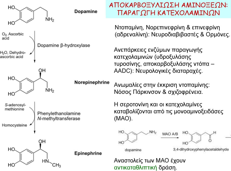 Ανεπάρκειες ενζύμων παραγωγής κατεχολαμινών (υδροξυλάσης τυροσίνης, αποκαρβοξυλάσης ντόπα AADC): Νευρολογικές