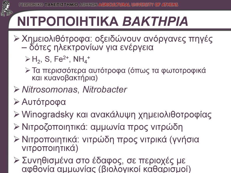 Αυτότροφα Winogradsky και ανακάλυψη χημειολιθοτροφίας Νιτροζοποιητικά: αμμωνία προς νιτρώδη Νιτροποιητικά: