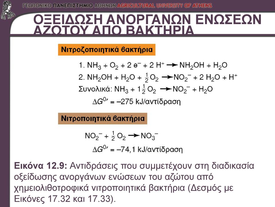 οξείδωσης ανοργάνων ενώσεων του αζώτου από