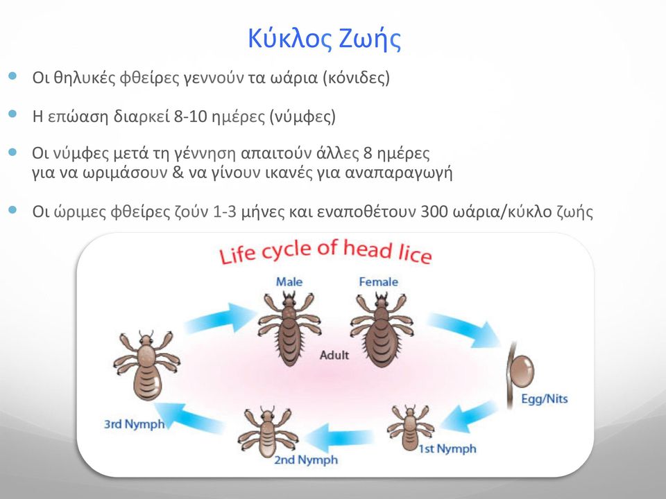 άλλες 8 ημέρες για να ωριμάσουν & να γίνουν ικανές για αναπαραγωγή