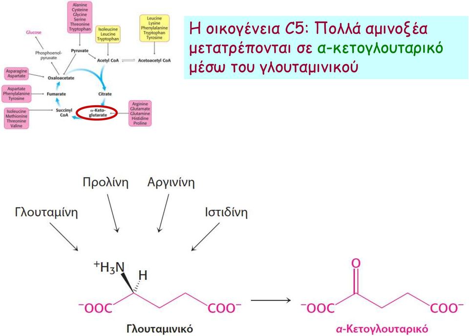 μετατρέπονται σε