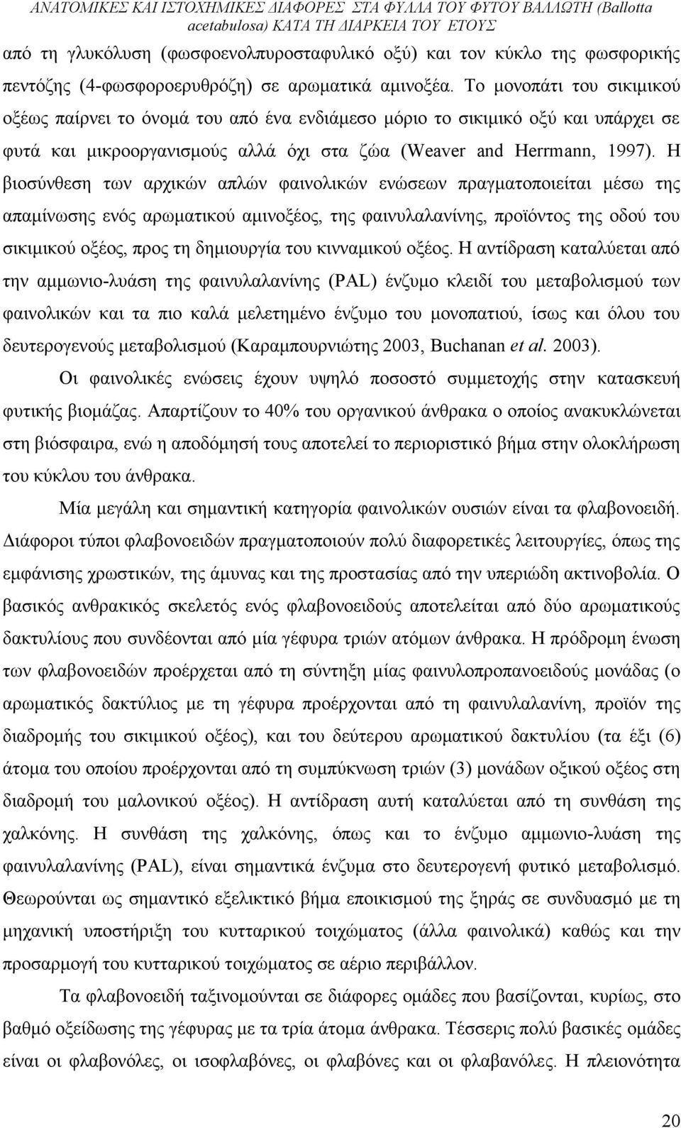 Η βιοσύνθεση των αρχικών απλών φαινολικών ενώσεων πραγματοποιείται μέσω της απαμίνωσης ενός αρωματικού αμινοξέος, της φαινυλαλανίνης, προϊόντος της οδού του σικιμικού οξέος, προς τη δημιουργία του