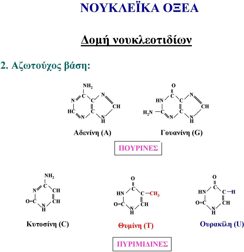 N N Γουανίνη (G) ΠΟΥΡΙΝΕΣ = N N N 2 Κυτοσίνη