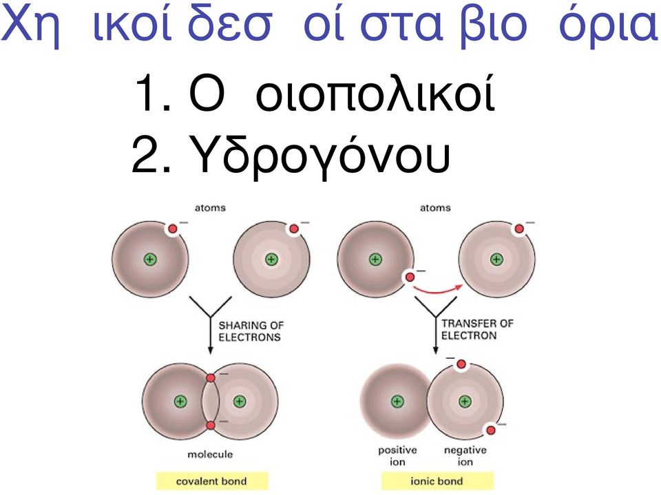 βιοµόρια 1.