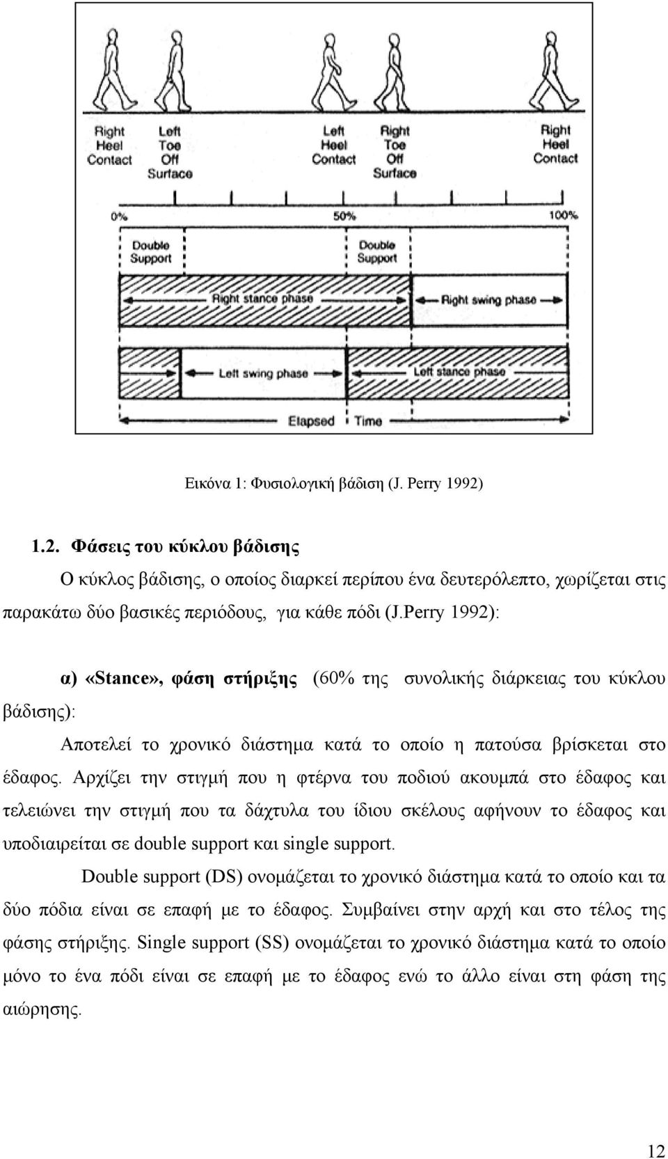 Αρχίζει την στιγμή που η φτέρνα του ποδιού ακουμπά στο έδαφος και τελειώνει την στιγμή που τα δάχτυλα του ίδιου σκέλους αφήνουν το έδαφος και υποδιαιρείται σε double support και single support.