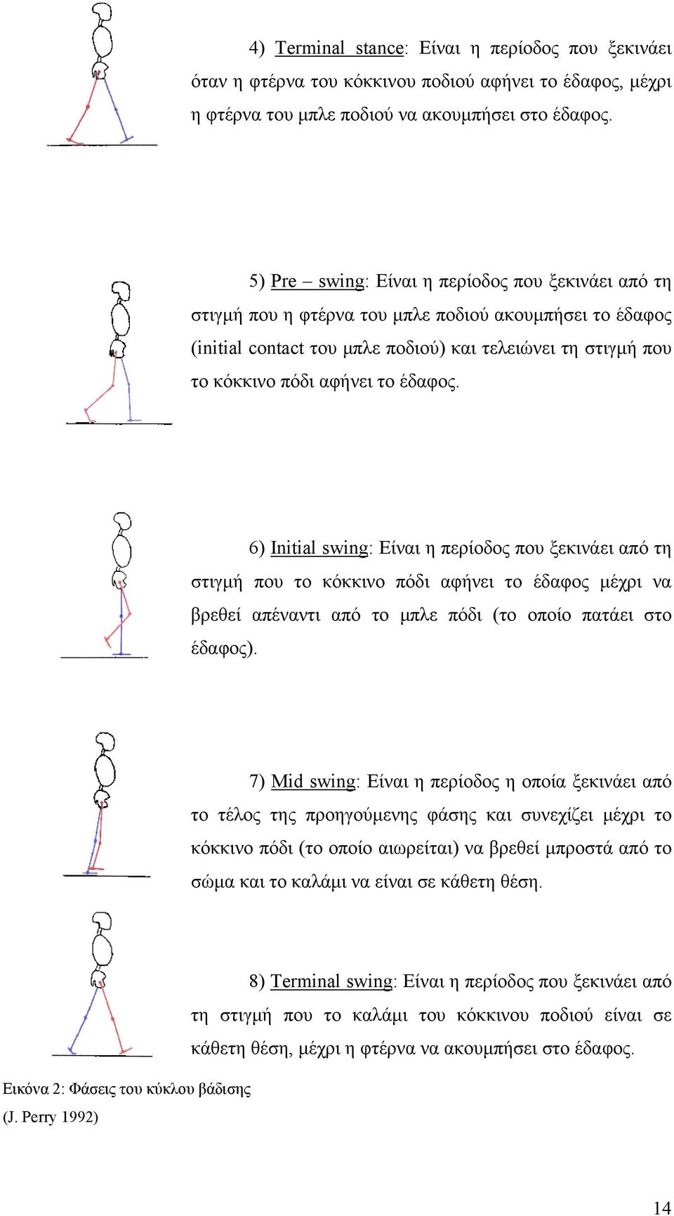 έδαφος. 6) Initial swing: Είναι η περίοδος που ξεκινάει από τη στιγμή που το κόκκινο πόδι αφήνει το έδαφος μέχρι να βρεθεί απέναντι από το μπλε πόδι (το οποίο πατάει στο έδαφος).