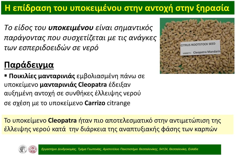 με το υποκείμενο Carrizo citrange [Tree Το υποκείμενο Physiology 26, (2006) Cleopatra 1537 1548] ήταν πιο αποτελεσματικό στην αντιμετώπιση της έλλειψης