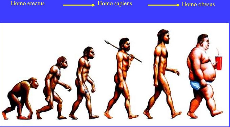 sapiens 