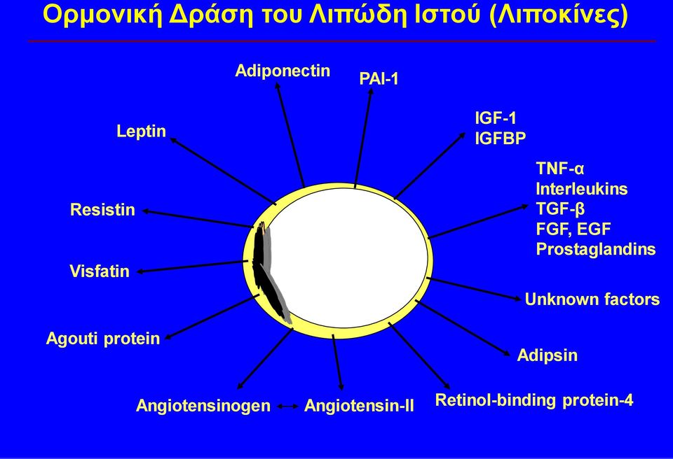 Angiotensinogen Angiotensin-II IGF-1 IGFBP TNF-α