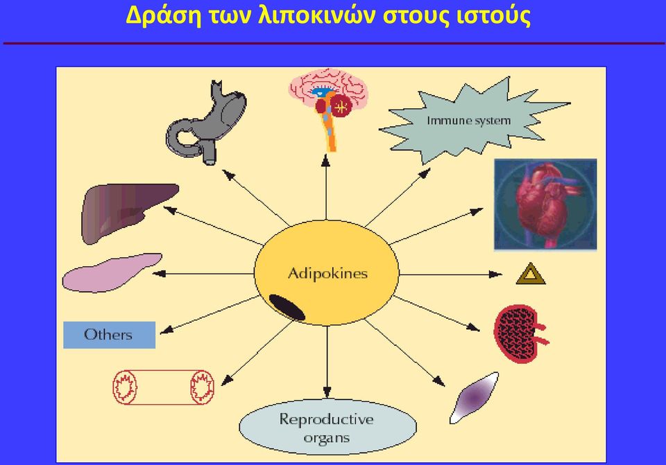 στους