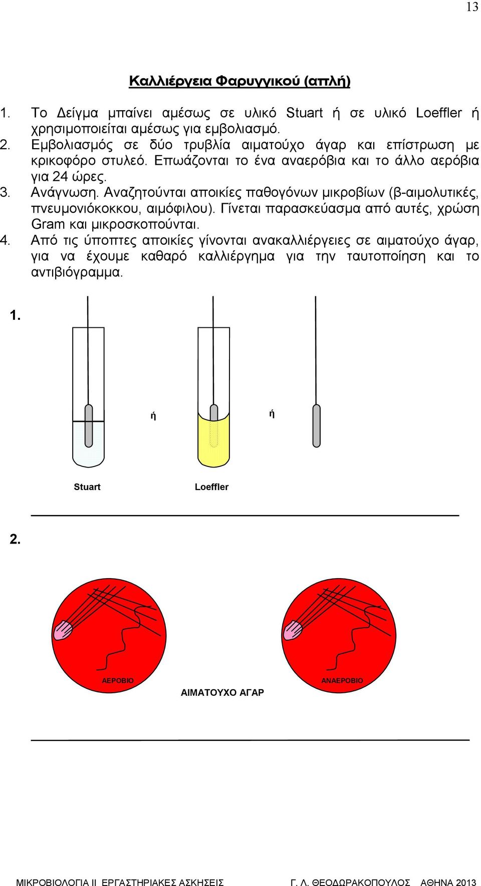 Αναζητούνται αποικίες παθογόνων μικροβίων (β-αιμολυτικές, πνευμονιόκοκκου, αιμόφιλου). Γίνεται παρασκεύασμα από αυτές, χρώση Gram και μικροσκοπούνται. 4.