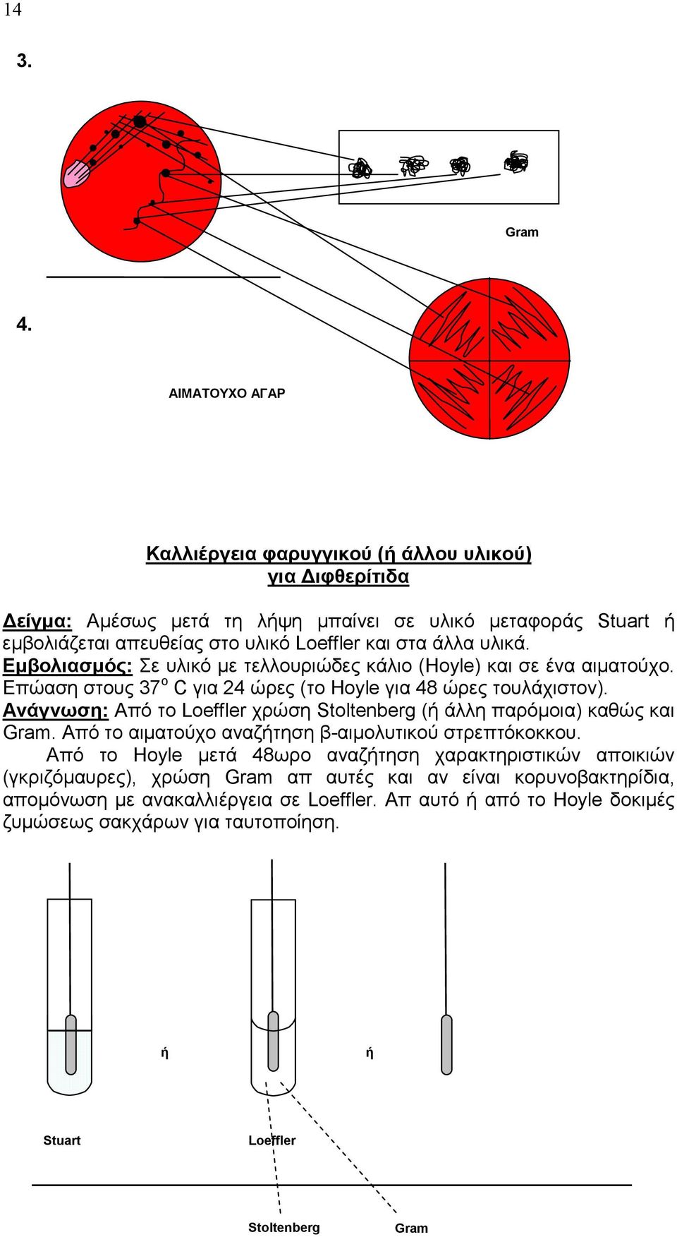 άλλα υλικά. Εμβολιασμός: Σε υλικό με τελλουριώδες κάλιο (Hoyle) και σε ένα αιματούχο. Επώαση στους 37 ο C για 24 ώρες (το Hoyle για 48 ώρες τουλάχιστον).