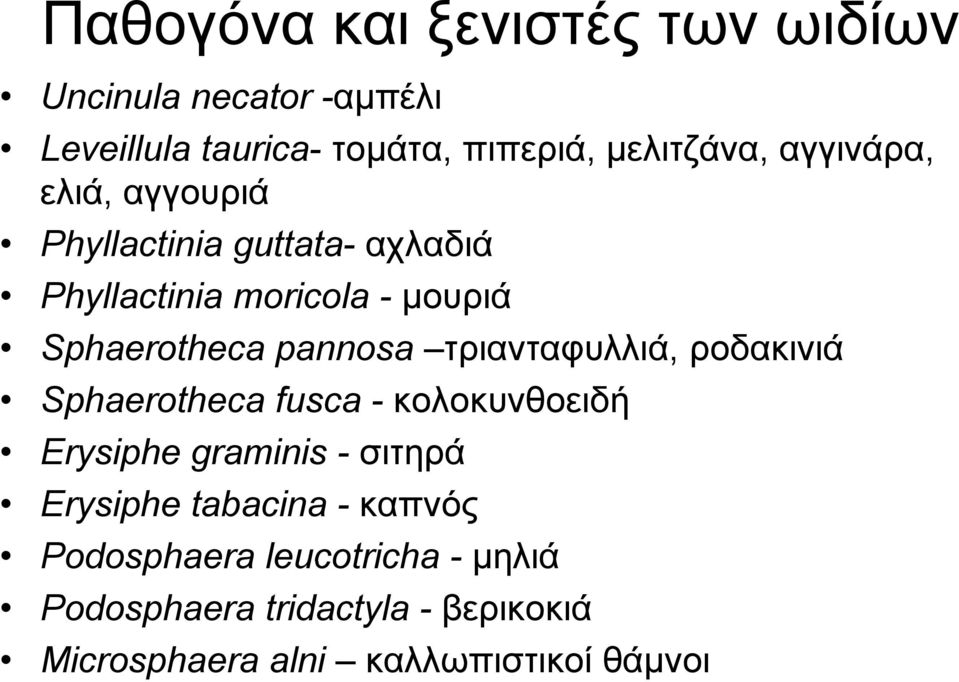 τριανταφυλλιά, ροδακινιά Sphaerotheca fusca - κολοκυνθοειδή Erysiphe graminis - σιτηρά Erysiphe tabacina -