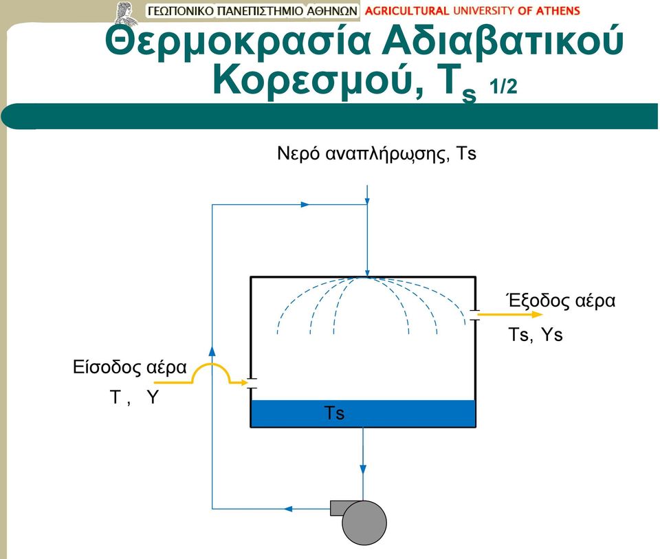 Τ 1/2 Νερό