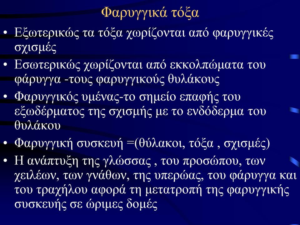 ενδόδερμα του θυλάκου Φαρυγγική συσκευή =(θύλακοι, τόξα, σχισμές) Η ανάπτυξη της γλώσσας, του προσώπου, των