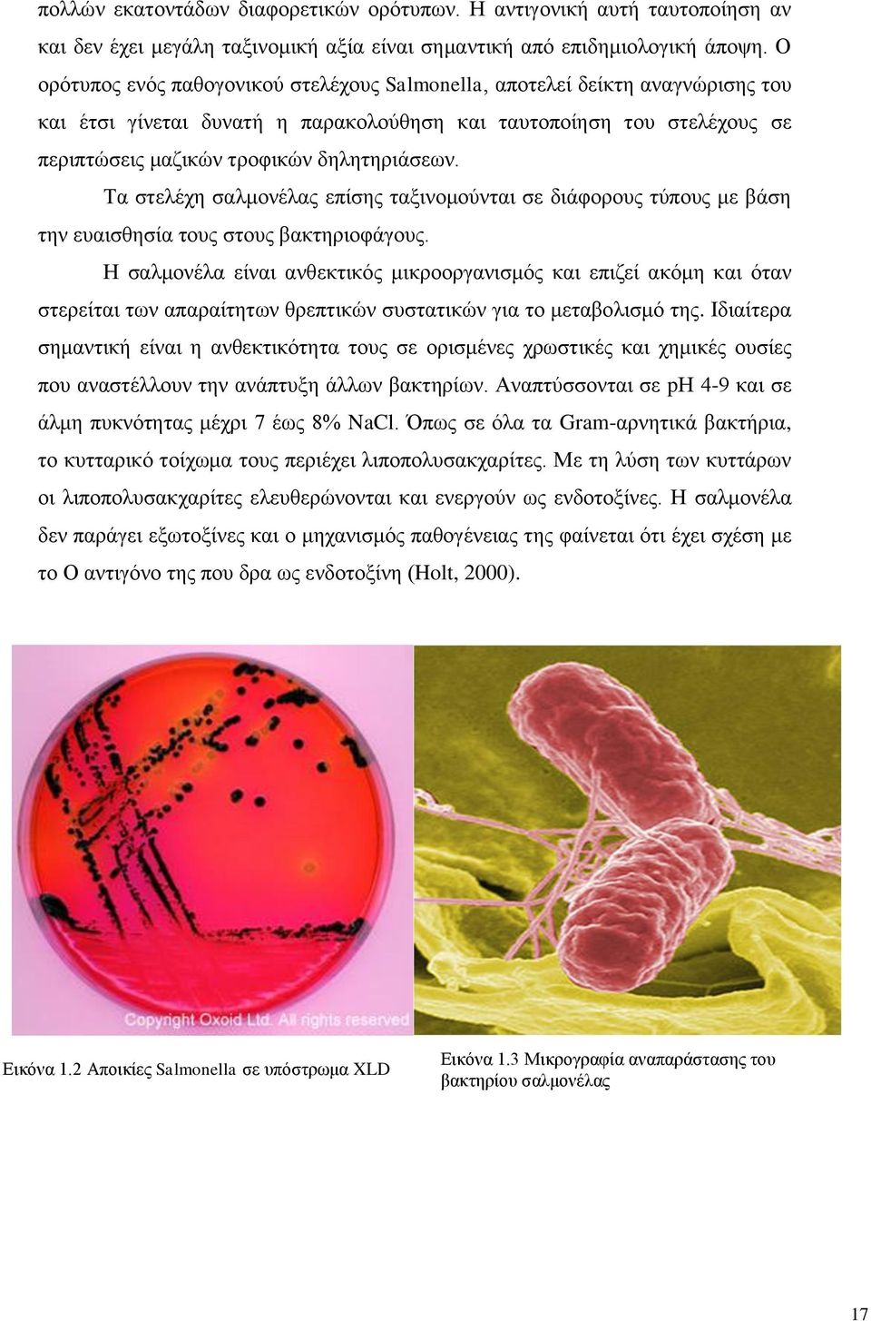 Τα στελέχη σαλμονέλας επίσης ταξινομούνται σε διάφορους τύπους με βάση την ευαισθησία τους στους βακτηριοφάγους.