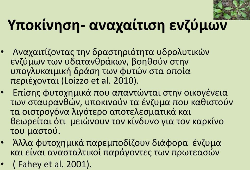 Επίσης φυτοχημικά που απαντώνται στην οικογένεια των σταυρανθών, υποκινούν τα ένζυμα που καθιστούν τα οιστρογόνα λιγότερο