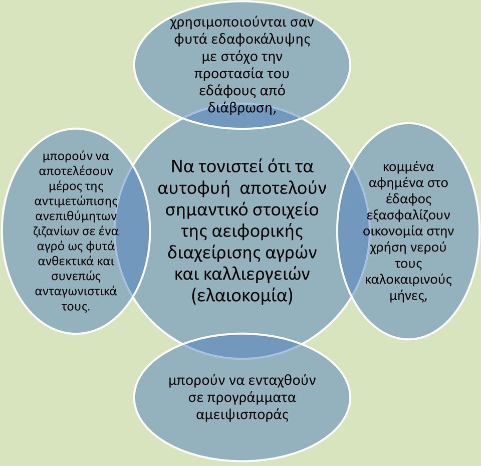 Να τονιστεί ότι τα αυτοφυή αποτελούν σημαντικό στοιχείο της αειφορικής διαχείρισης αγρών και καλλιεργειών (ελαιοκομία)