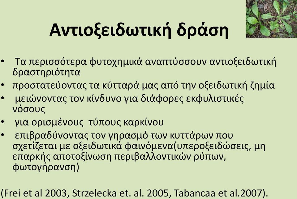 τύπους καρκίνου επιβραδύνοντας τον γηρασμό των κυττάρων που σχετίζεται με οξειδωτικά φαινόμενα(υπεροξειδώσεις,