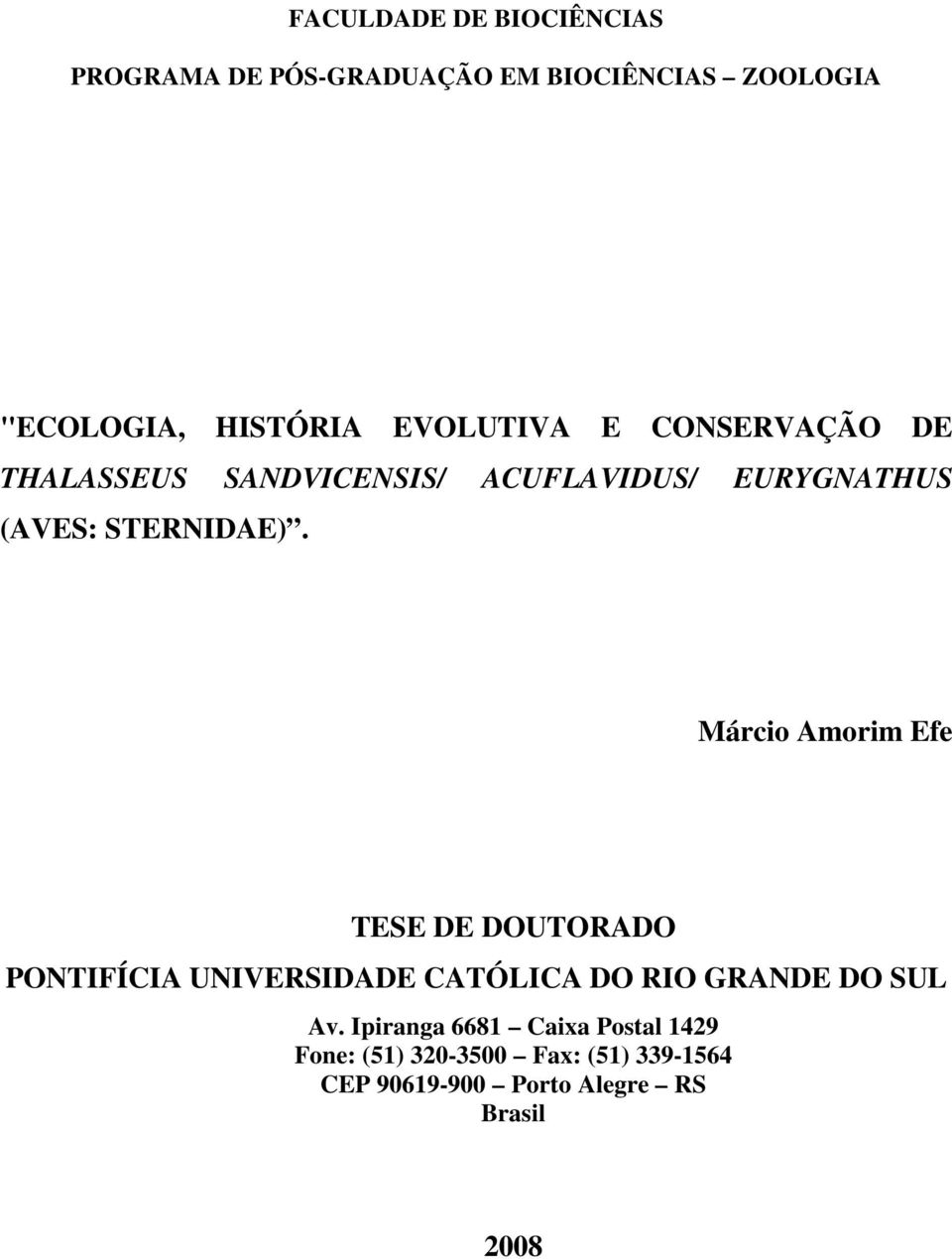 Márcio Amorim Efe TESE DE DOUTORADO PONTIFÍCIA UNIVERSIDADE CATÓLICA DO RIO GRANDE DO SUL Av.