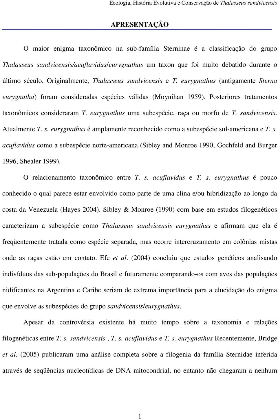 eurygnathus uma subespécie, raça ou morfo de T. sandvicensis. Atualmente T. s. eurygnathus é amplamente reconhecido como a subespécie sul-americana e T. s. acuflavidus como a subespécie norte-americana (Sibley and Monroe 1990, Gochfeld and Burger 1996, Shealer 1999).