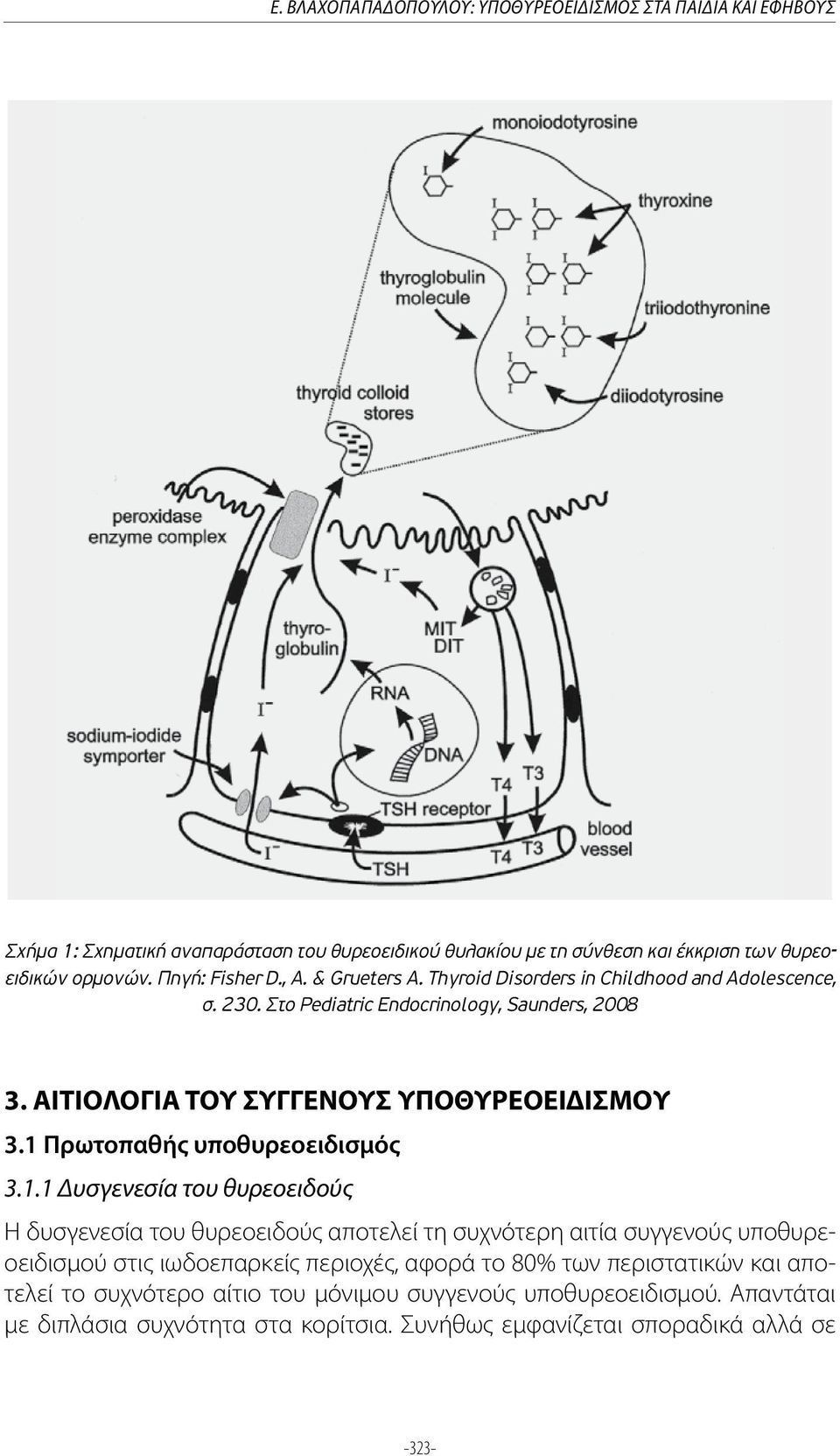 ΑΙΤΙΟΛΟΓΙΑ ΤΟΥ ΣΥΓΓΕΝΟΥΣ ΥΠΟΘΥΡΕΟΕΙΔΙΣΜΟΥ 3.1 