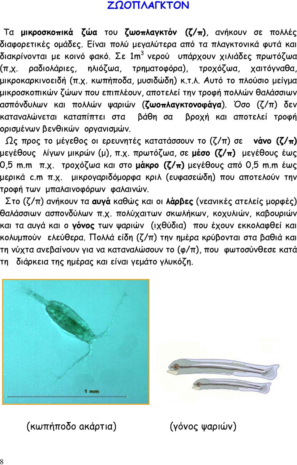 Όσο (ζ/π) δεν καταναλώνεται καταπίπτει στα βάθη σα βροχή και αποτελεί τροφή ορισμένων βενθικών οργανισμών.