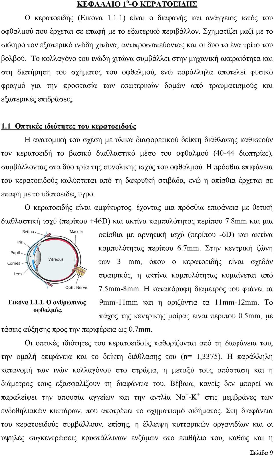 Το κολλαγόνο του ινώδη χιτώνα συμβάλλει στην μηχανική ακεραιότητα και στη διατήρηση του σχήματος του οφθαλμού, ενώ παράλληλα αποτελεί φυσικό φραγμό για την προστασία των εσωτερικών δομών από