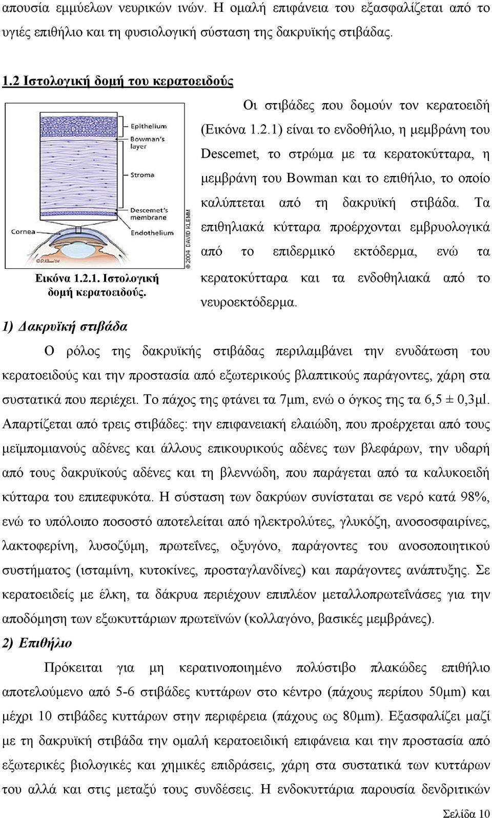 1) είναι το ενδοθήλιο, η μεμβράνη του Descemet, το στρώμα με τα κερατοκύτταρα, η μεμβράνη του Bowman και το επιθήλιο, το οποίο καλύπτεται από τη δακρυϊκή στιβάδα.