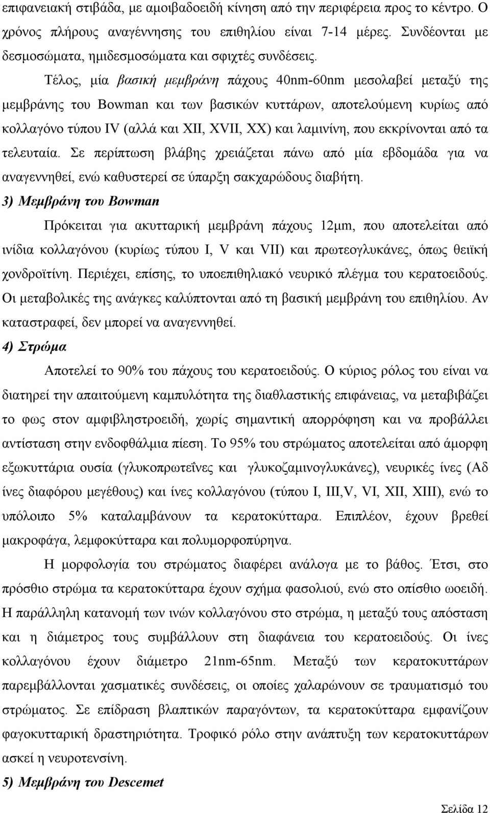 Τέλος, μία βασική μεμβράνη πάχους 40nm-60nm μεσολαβεί μεταξύ της μεμβράνης του Bowman και των βασικών κυττάρων, αποτελούμενη κυρίως από κολλαγόνο τύπου IV (αλλά και ΧΙΙ, ΧVΙΙ, ΧΧ) και λαμινίνη, που