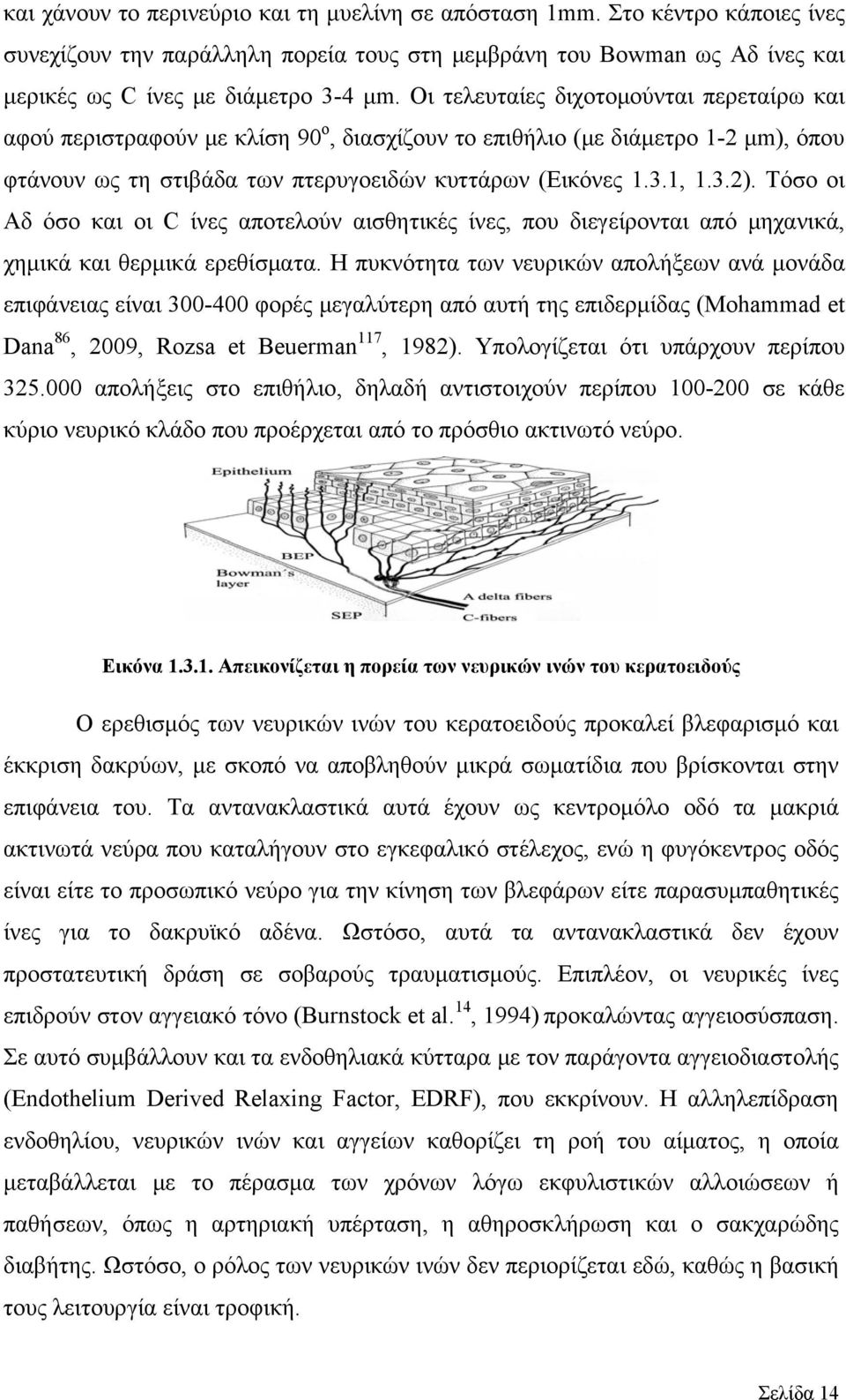 Τόσο οι Αδ όσο και οι C ίνες αποτελούν αισθητικές ίνες, που διεγείρονται από μηχανικά, χημικά και θερμικά ερεθίσματα.