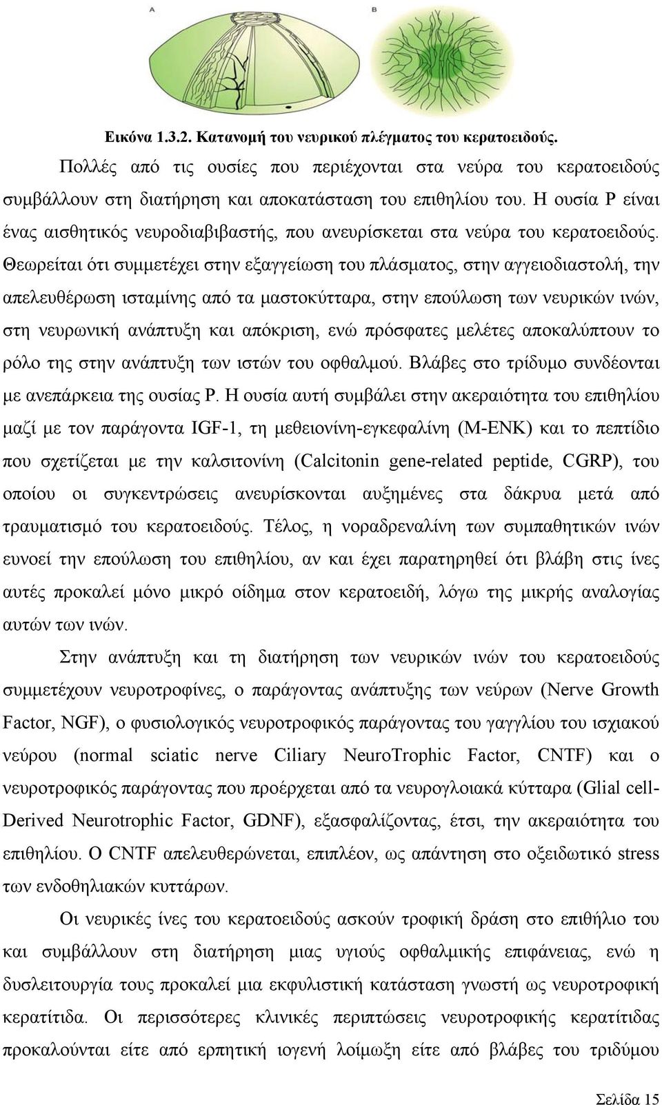 Θεωρείται ότι συμμετέχει στην εξαγγείωση του πλάσματος, στην αγγειοδιαστολή, την απελευθέρωση ισταμίνης από τα μαστοκύτταρα, στην επούλωση των νευρικών ινών, στη νευρωνική ανάπτυξη και απόκριση, ενώ