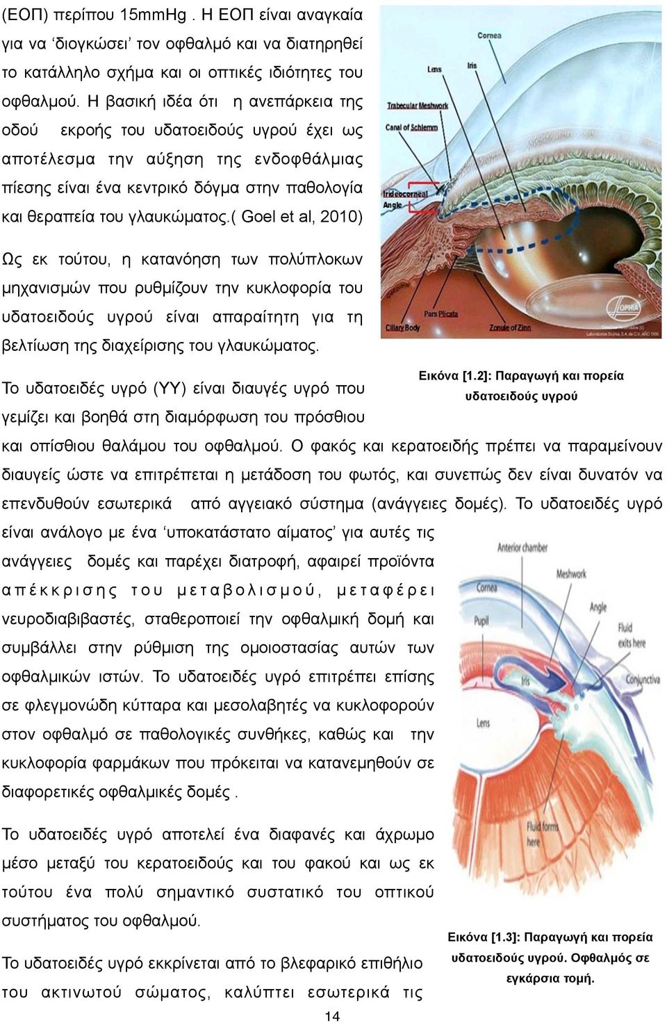 ( Goel et al, 2010) Ως εκ τούτου, η κατανόηση των πολύπλοκων µηχανισµών που ρυθµίζουν την κυκλοφορία του υδατοειδούς υγρού είναι απαραίτητη για τη βελτίωση της διαχείρισης του γλαυκώµατος.