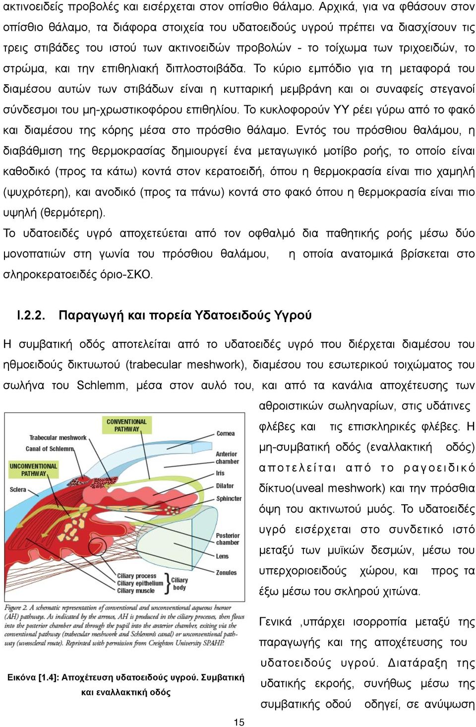 στρώµα, και την επιθηλιακή διπλοστοιβάδα. Το κύριο εµπόδιο για τη µεταφορά του διαµέσου αυτών των στιβάδων είναι η κυτταρική µεµβράνη και οι συναφείς στεγανοί σύνδεσµοι του µη-χρωστικοφόρου επιθηλίου.