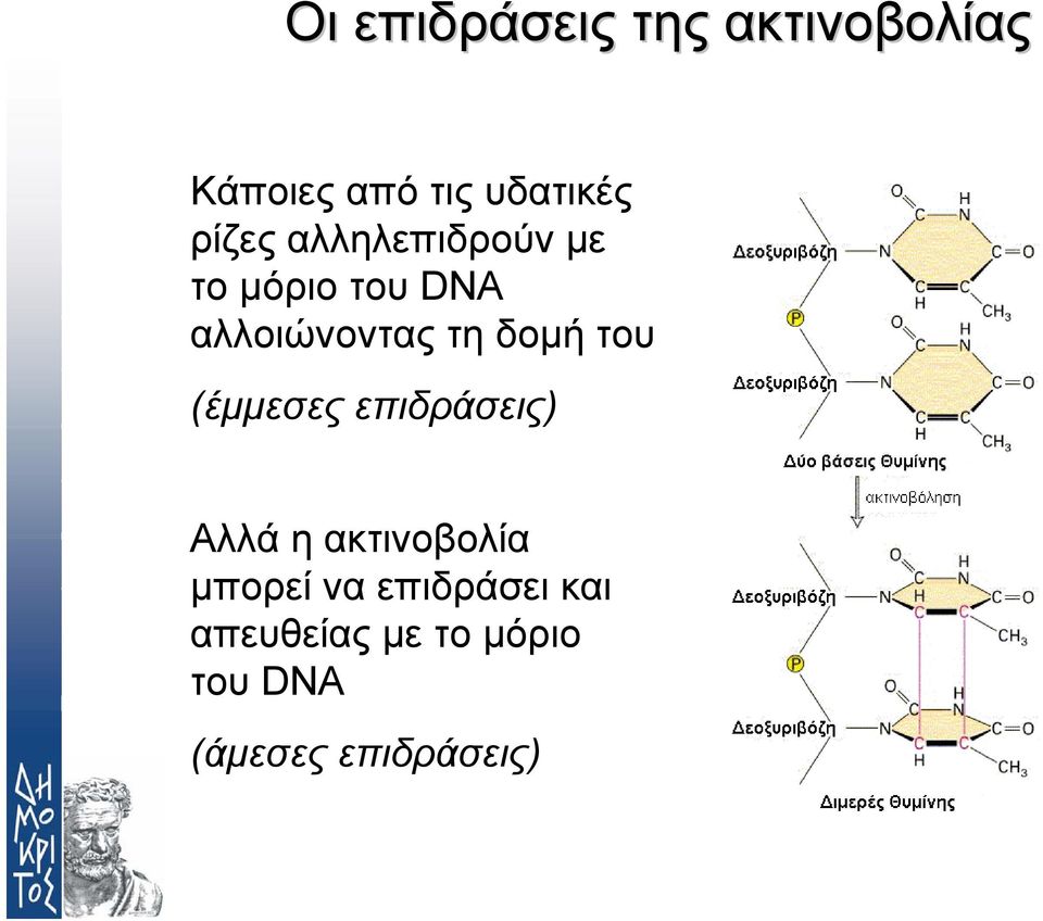 δοµή του (έµµεσες επιδράσεις) Αλλά η ακτινοβολία µπορεί
