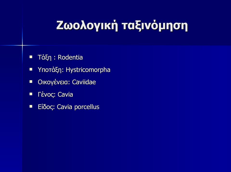 Hystricomorpha Οικογένεια: