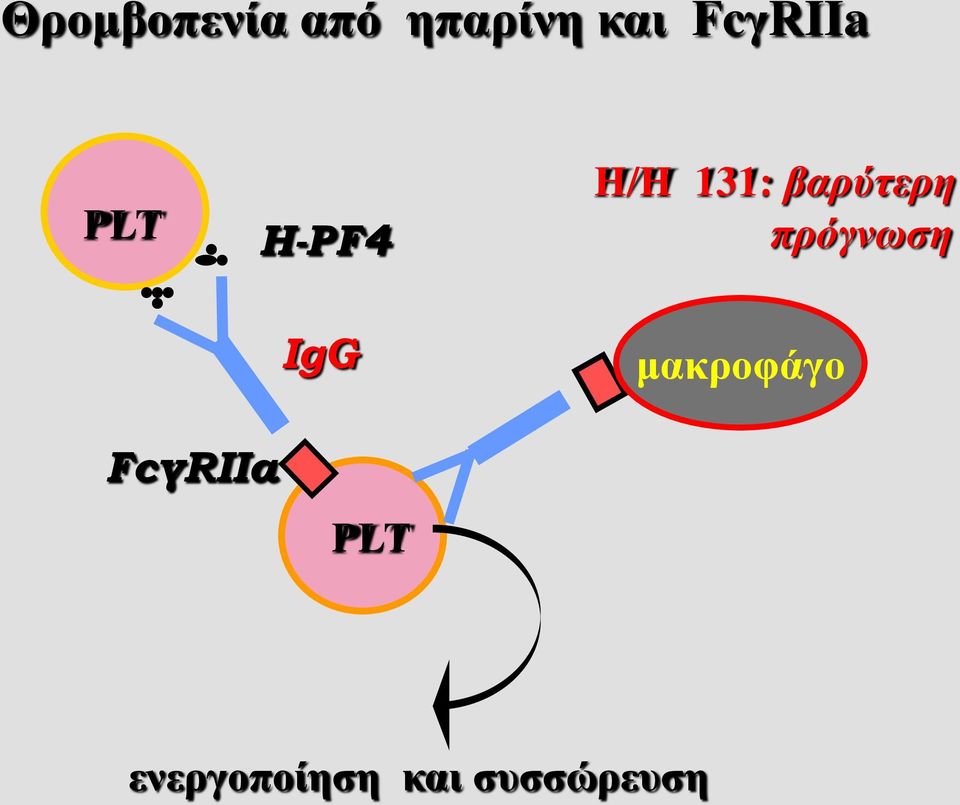 βαρύτερη πρόγνωση IgG μακροφάγο