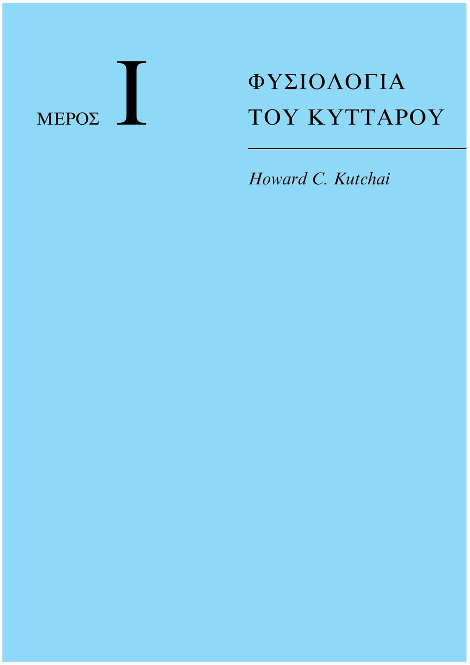 TOY KYTTAPOY